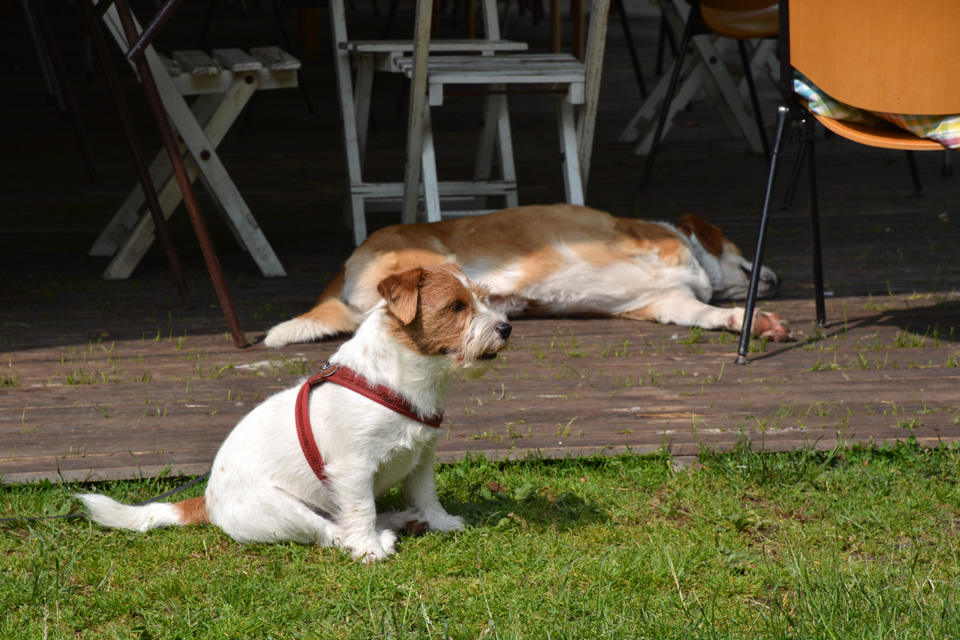 Wilhelminpark Tilburg: buurtlunch 2025