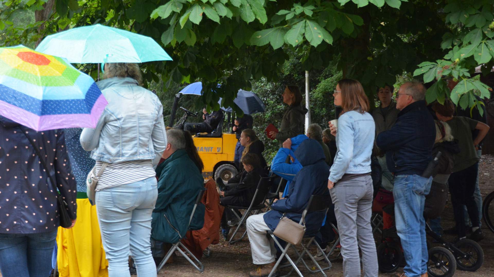 Wilhelminapark versiert het weekend