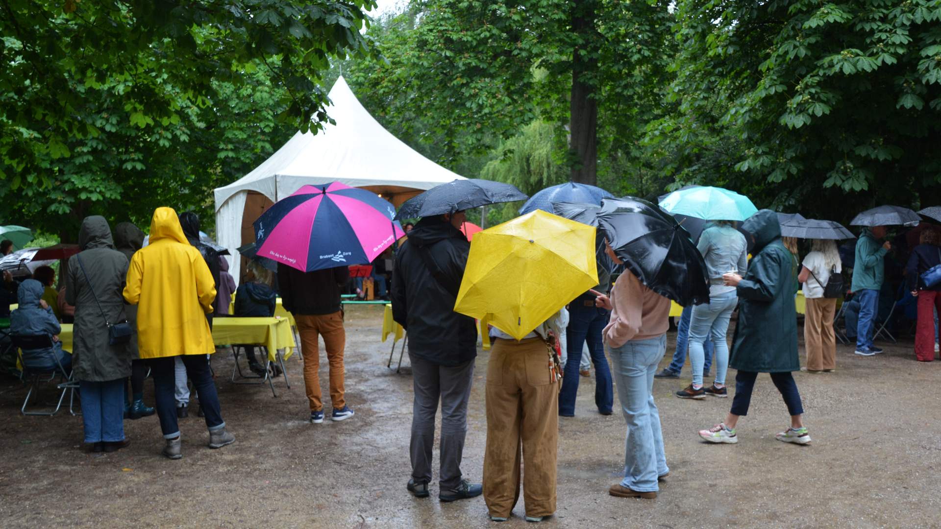 Wilhelminapark versiert het weekend