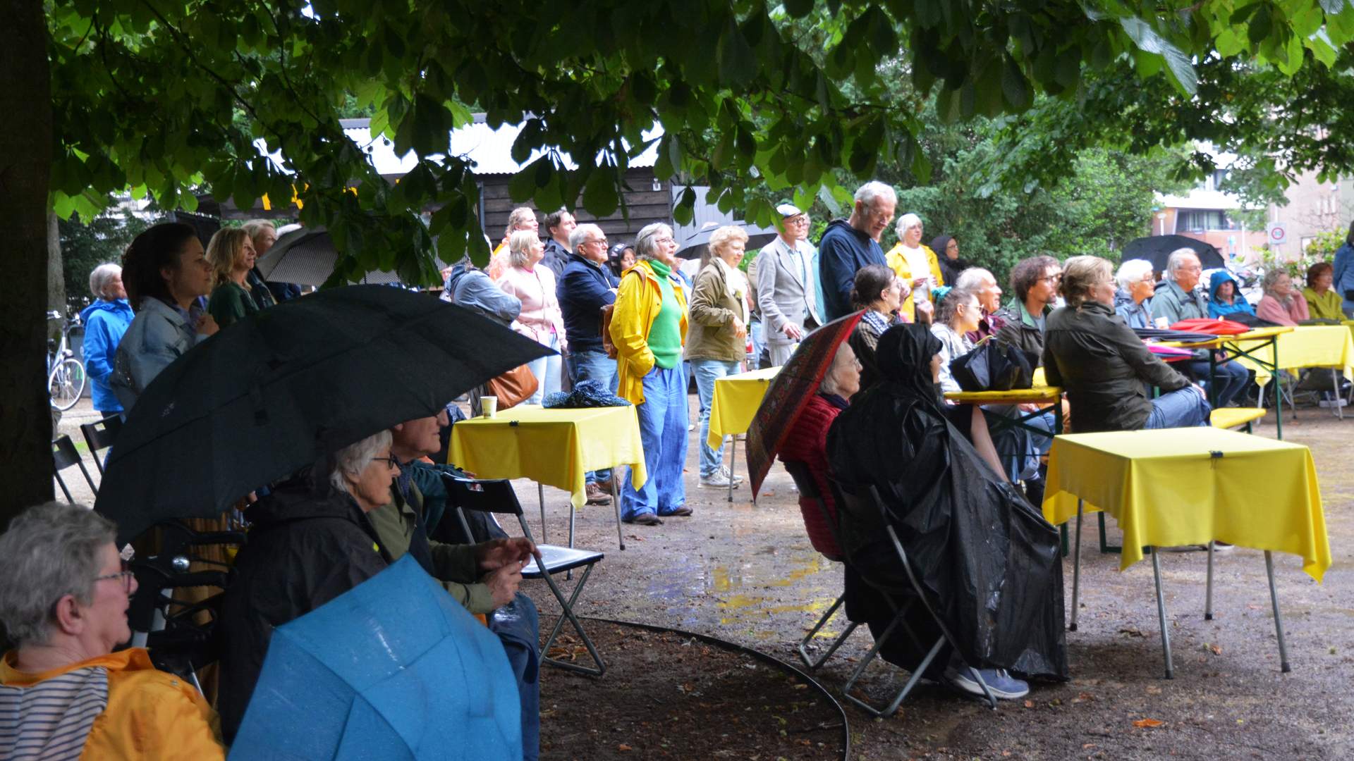 Wilhelminapark versiert het weekend